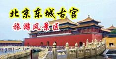 痴汉视频无码在线中国北京-东城古宫旅游风景区